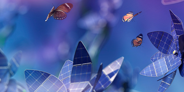 sustainability