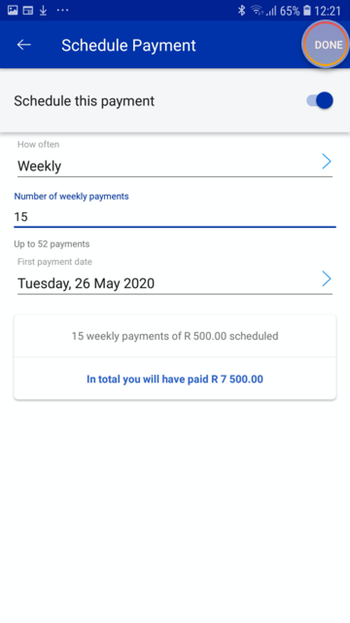 schedulePayment_paymentDetails.png