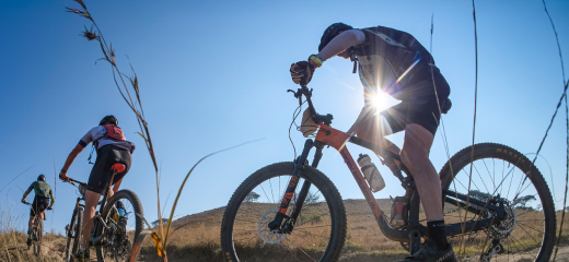 BergNBush_ContentListwithCat