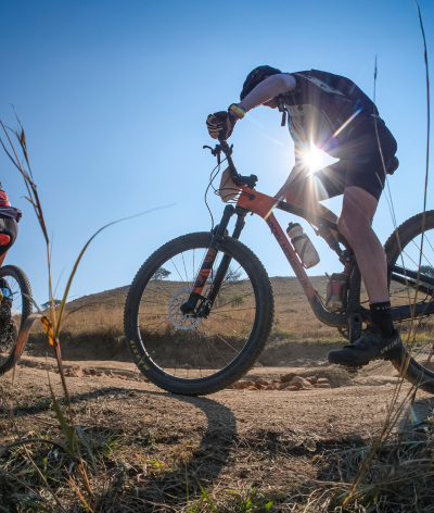 BergNBush_14dimensions